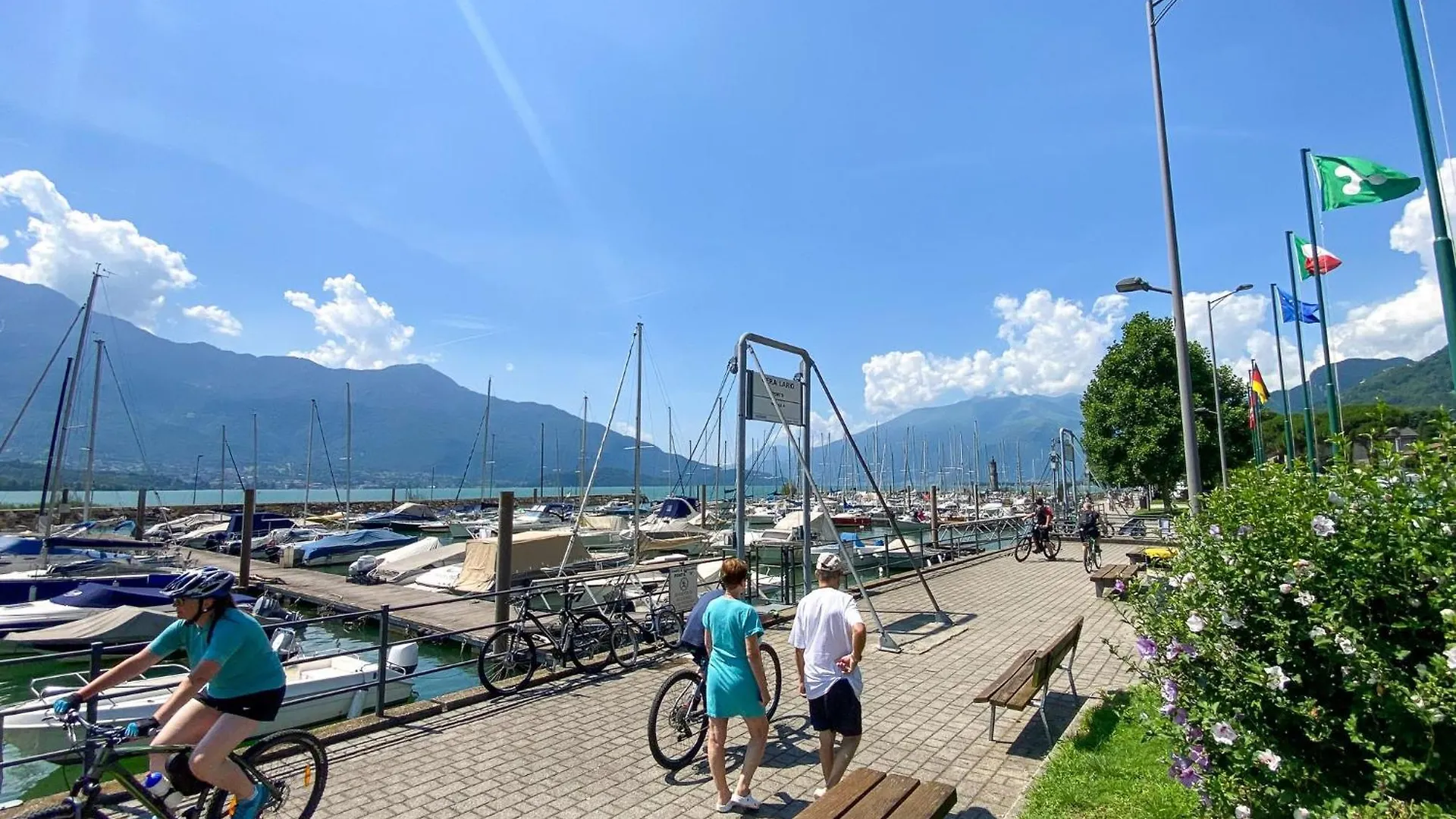 Rustico Bella Vita Bugiallo